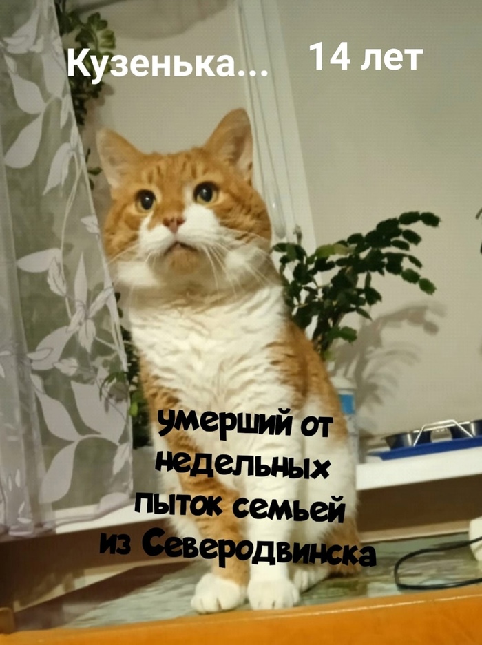 анмол родригес история до и после. 1632514799189618900. анмол родригес история до и после фото. анмол родригес история до и после-1632514799189618900. картинка анмол родригес история до и после. картинка 1632514799189618900. Анмол Родригес – самая обычная девочка, родившаяся в простой индийской семье. Когда малышка была совсем крохой с ней случилась трагедия. Будучи не вполне трезвым отец девочки облил ее с матерью едким веществом. анмол родригес история до и после. 1632514799189618900. анмол родригес история до и после фото. анмол родригес история до и после-1632514799189618900. картинка анмол родригес история до и после. картинка 1632514799189618900. Анмол Родригес – самая обычная девочка, родившаяся в простой индийской семье. Когда малышка была совсем крохой с ней случилась трагедия. Будучи не вполне трезвым отец девочки облил ее с матерью едким веществом.