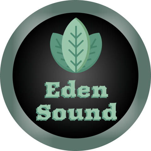 Recording studio Eden_Sound - My, Music, Good music, Electonic music, Musical instruments, Musicians, Sound engineer, Sound recording, Presents, , Recording, Mixing, Mastering, Studio, Rammstein, Red hot chili peppers, System of a Down, Sum 41, Cover, Instrumental music, Classical music, Trap music