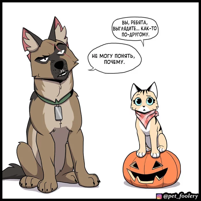 halloween 2021 - Pet foolery, Brutus and Pixie, Lola and Mr. Wrinkle, Halloween, The Dragon, Comics, Longpost