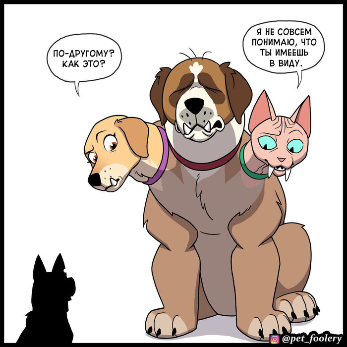  2021 Pet Foolery,   ,    , , , , 