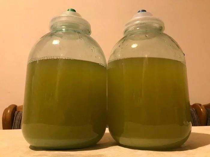 Wine from zucchini - My, Zucchini, Tincture, Wine, Alcohol, Garden, Longpost