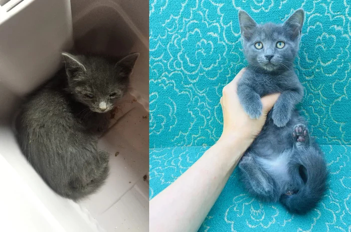 ΠΊΠ°ΠΊΠ°Ρ ΡΠ°Π·Π½ΠΈΡΠ° ΠΌΠ΅ΠΆΠ΄Ρ Π±ΠΎΡΠ΄ΡΡΠΎΠΌ ΠΈ ΠΏΠΎΡΠ΅Π±ΡΠΈΠΊΠΎΠΌ. Π‘ΠΌΠΎΡΡΠ΅ΡΡ ΡΠΎΡΠΎ ΠΊΠ°ΠΊΠ°Ρ ΡΠ°Π·Π½ΠΈΡΠ° ΠΌΠ΅ΠΆΠ΄Ρ Π±ΠΎΡΠ΄ΡΡΠΎΠΌ ΠΈ ΠΏΠΎΡΠ΅Π±ΡΠΈΠΊΠΎΠΌ. Π‘ΠΌΠΎΡΡΠ΅ΡΡ ΠΊΠ°ΡΡΠΈΠ½ΠΊΡ ΠΊΠ°ΠΊΠ°Ρ ΡΠ°Π·Π½ΠΈΡΠ° ΠΌΠ΅ΠΆΠ΄Ρ Π±ΠΎΡΠ΄ΡΡΠΎΠΌ ΠΈ ΠΏΠΎΡΠ΅Π±ΡΠΈΠΊΠΎΠΌ. ΠΠ°ΡΡΠΈΠ½ΠΊΠ° ΠΏΡΠΎ ΠΊΠ°ΠΊΠ°Ρ ΡΠ°Π·Π½ΠΈΡΠ° ΠΌΠ΅ΠΆΠ΄Ρ Π±ΠΎΡΠ΄ΡΡΠΎΠΌ ΠΈ ΠΏΠΎΡΠ΅Π±ΡΠΈΠΊΠΎΠΌ. Π€ΠΎΡΠΎ ΠΊΠ°ΠΊΠ°Ρ ΡΠ°Π·Π½ΠΈΡΠ° ΠΌΠ΅ΠΆΠ΄Ρ Π±ΠΎΡΠ΄ΡΡΠΎΠΌ ΠΈ ΠΏΠΎΡΠ΅Π±ΡΠΈΠΊΠΎΠΌ ΠΊΠ°ΠΊΠ°Ρ ΡΠ°Π·Π½ΠΈΡΠ° ΠΌΠ΅ΠΆΠ΄Ρ Π±ΠΎΡΠ΄ΡΡΠΎΠΌ ΠΈ ΠΏΠΎΡΠ΅Π±ΡΠΈΠΊΠΎΠΌ. Π‘ΠΌΠΎΡΡΠ΅ΡΡ ΡΠΎΡΠΎ ΠΊΠ°ΠΊΠ°Ρ ΡΠ°Π·Π½ΠΈΡΠ° ΠΌΠ΅ΠΆΠ΄Ρ Π±ΠΎΡΠ΄ΡΡΠΎΠΌ ΠΈ ΠΏΠΎΡΠ΅Π±ΡΠΈΠΊΠΎΠΌ. Π‘ΠΌΠΎΡΡΠ΅ΡΡ ΠΊΠ°ΡΡΠΈΠ½ΠΊΡ ΠΊΠ°ΠΊΠ°Ρ ΡΠ°Π·Π½ΠΈΡΠ° ΠΌΠ΅ΠΆΠ΄Ρ Π±ΠΎΡΠ΄ΡΡΠΎΠΌ ΠΈ ΠΏΠΎΡΠ΅Π±ΡΠΈΠΊΠΎΠΌ. ΠΠ°ΡΡΠΈΠ½ΠΊΠ° ΠΏΡΠΎ ΠΊΠ°ΠΊΠ°Ρ ΡΠ°Π·Π½ΠΈΡΠ° ΠΌΠ΅ΠΆΠ΄Ρ Π±ΠΎΡΠ΄ΡΡΠΎΠΌ ΠΈ ΠΏΠΎΡΠ΅Π±ΡΠΈΠΊΠΎΠΌ. Π€ΠΎΡΠΎ ΠΊΠ°ΠΊΠ°Ρ ΡΠ°Π·Π½ΠΈΡΠ° ΠΌΠ΅ΠΆΠ΄Ρ Π±ΠΎΡΠ΄ΡΡΠΎΠΌ ΠΈ ΠΏΠΎΡΠ΅Π±ΡΠΈΠΊΠΎΠΌ