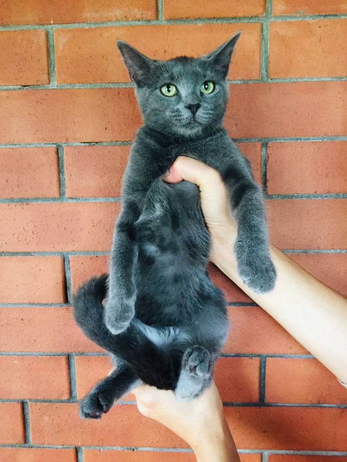 ΠΊΠ°ΠΊΠ°Ρ ΡΠ°Π·Π½ΠΈΡΠ° ΠΌΠ΅ΠΆΠ΄Ρ Π±ΠΎΡΠ΄ΡΡΠΎΠΌ ΠΈ ΠΏΠΎΡΠ΅Π±ΡΠΈΠΊΠΎΠΌ. Π‘ΠΌΠΎΡΡΠ΅ΡΡ ΡΠΎΡΠΎ ΠΊΠ°ΠΊΠ°Ρ ΡΠ°Π·Π½ΠΈΡΠ° ΠΌΠ΅ΠΆΠ΄Ρ Π±ΠΎΡΠ΄ΡΡΠΎΠΌ ΠΈ ΠΏΠΎΡΠ΅Π±ΡΠΈΠΊΠΎΠΌ. Π‘ΠΌΠΎΡΡΠ΅ΡΡ ΠΊΠ°ΡΡΠΈΠ½ΠΊΡ ΠΊΠ°ΠΊΠ°Ρ ΡΠ°Π·Π½ΠΈΡΠ° ΠΌΠ΅ΠΆΠ΄Ρ Π±ΠΎΡΠ΄ΡΡΠΎΠΌ ΠΈ ΠΏΠΎΡΠ΅Π±ΡΠΈΠΊΠΎΠΌ. ΠΠ°ΡΡΠΈΠ½ΠΊΠ° ΠΏΡΠΎ ΠΊΠ°ΠΊΠ°Ρ ΡΠ°Π·Π½ΠΈΡΠ° ΠΌΠ΅ΠΆΠ΄Ρ Π±ΠΎΡΠ΄ΡΡΠΎΠΌ ΠΈ ΠΏΠΎΡΠ΅Π±ΡΠΈΠΊΠΎΠΌ. Π€ΠΎΡΠΎ ΠΊΠ°ΠΊΠ°Ρ ΡΠ°Π·Π½ΠΈΡΠ° ΠΌΠ΅ΠΆΠ΄Ρ Π±ΠΎΡΠ΄ΡΡΠΎΠΌ ΠΈ ΠΏΠΎΡΠ΅Π±ΡΠΈΠΊΠΎΠΌ ΠΊΠ°ΠΊΠ°Ρ ΡΠ°Π·Π½ΠΈΡΠ° ΠΌΠ΅ΠΆΠ΄Ρ Π±ΠΎΡΠ΄ΡΡΠΎΠΌ ΠΈ ΠΏΠΎΡΠ΅Π±ΡΠΈΠΊΠΎΠΌ. Π‘ΠΌΠΎΡΡΠ΅ΡΡ ΡΠΎΡΠΎ ΠΊΠ°ΠΊΠ°Ρ ΡΠ°Π·Π½ΠΈΡΠ° ΠΌΠ΅ΠΆΠ΄Ρ Π±ΠΎΡΠ΄ΡΡΠΎΠΌ ΠΈ ΠΏΠΎΡΠ΅Π±ΡΠΈΠΊΠΎΠΌ. Π‘ΠΌΠΎΡΡΠ΅ΡΡ ΠΊΠ°ΡΡΠΈΠ½ΠΊΡ ΠΊΠ°ΠΊΠ°Ρ ΡΠ°Π·Π½ΠΈΡΠ° ΠΌΠ΅ΠΆΠ΄Ρ Π±ΠΎΡΠ΄ΡΡΠΎΠΌ ΠΈ ΠΏΠΎΡΠ΅Π±ΡΠΈΠΊΠΎΠΌ. ΠΠ°ΡΡΠΈΠ½ΠΊΠ° ΠΏΡΠΎ ΠΊΠ°ΠΊΠ°Ρ ΡΠ°Π·Π½ΠΈΡΠ° ΠΌΠ΅ΠΆΠ΄Ρ Π±ΠΎΡΠ΄ΡΡΠΎΠΌ ΠΈ ΠΏΠΎΡΠ΅Π±ΡΠΈΠΊΠΎΠΌ. Π€ΠΎΡΠΎ ΠΊΠ°ΠΊΠ°Ρ ΡΠ°Π·Π½ΠΈΡΠ° ΠΌΠ΅ΠΆΠ΄Ρ Π±ΠΎΡΠ΄ΡΡΠΎΠΌ ΠΈ ΠΏΠΎΡΠ΅Π±ΡΠΈΠΊΠΎΠΌ