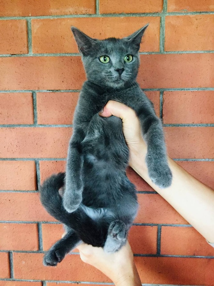 ΠΊΠ°ΠΊΠ°Ρ ΡΠ°Π·Π½ΠΈΡΠ° ΠΌΠ΅ΠΆΠ΄Ρ Π±ΠΎΡΠ΄ΡΡΠΎΠΌ ΠΈ ΠΏΠΎΡΠ΅Π±ΡΠΈΠΊΠΎΠΌ. Π‘ΠΌΠΎΡΡΠ΅ΡΡ ΡΠΎΡΠΎ ΠΊΠ°ΠΊΠ°Ρ ΡΠ°Π·Π½ΠΈΡΠ° ΠΌΠ΅ΠΆΠ΄Ρ Π±ΠΎΡΠ΄ΡΡΠΎΠΌ ΠΈ ΠΏΠΎΡΠ΅Π±ΡΠΈΠΊΠΎΠΌ. Π‘ΠΌΠΎΡΡΠ΅ΡΡ ΠΊΠ°ΡΡΠΈΠ½ΠΊΡ ΠΊΠ°ΠΊΠ°Ρ ΡΠ°Π·Π½ΠΈΡΠ° ΠΌΠ΅ΠΆΠ΄Ρ Π±ΠΎΡΠ΄ΡΡΠΎΠΌ ΠΈ ΠΏΠΎΡΠ΅Π±ΡΠΈΠΊΠΎΠΌ. ΠΠ°ΡΡΠΈΠ½ΠΊΠ° ΠΏΡΠΎ ΠΊΠ°ΠΊΠ°Ρ ΡΠ°Π·Π½ΠΈΡΠ° ΠΌΠ΅ΠΆΠ΄Ρ Π±ΠΎΡΠ΄ΡΡΠΎΠΌ ΠΈ ΠΏΠΎΡΠ΅Π±ΡΠΈΠΊΠΎΠΌ. Π€ΠΎΡΠΎ ΠΊΠ°ΠΊΠ°Ρ ΡΠ°Π·Π½ΠΈΡΠ° ΠΌΠ΅ΠΆΠ΄Ρ Π±ΠΎΡΠ΄ΡΡΠΎΠΌ ΠΈ ΠΏΠΎΡΠ΅Π±ΡΠΈΠΊΠΎΠΌ ΠΊΠ°ΠΊΠ°Ρ ΡΠ°Π·Π½ΠΈΡΠ° ΠΌΠ΅ΠΆΠ΄Ρ Π±ΠΎΡΠ΄ΡΡΠΎΠΌ ΠΈ ΠΏΠΎΡΠ΅Π±ΡΠΈΠΊΠΎΠΌ. Π‘ΠΌΠΎΡΡΠ΅ΡΡ ΡΠΎΡΠΎ ΠΊΠ°ΠΊΠ°Ρ ΡΠ°Π·Π½ΠΈΡΠ° ΠΌΠ΅ΠΆΠ΄Ρ Π±ΠΎΡΠ΄ΡΡΠΎΠΌ ΠΈ ΠΏΠΎΡΠ΅Π±ΡΠΈΠΊΠΎΠΌ. Π‘ΠΌΠΎΡΡΠ΅ΡΡ ΠΊΠ°ΡΡΠΈΠ½ΠΊΡ ΠΊΠ°ΠΊΠ°Ρ ΡΠ°Π·Π½ΠΈΡΠ° ΠΌΠ΅ΠΆΠ΄Ρ Π±ΠΎΡΠ΄ΡΡΠΎΠΌ ΠΈ ΠΏΠΎΡΠ΅Π±ΡΠΈΠΊΠΎΠΌ. ΠΠ°ΡΡΠΈΠ½ΠΊΠ° ΠΏΡΠΎ ΠΊΠ°ΠΊΠ°Ρ ΡΠ°Π·Π½ΠΈΡΠ° ΠΌΠ΅ΠΆΠ΄Ρ Π±ΠΎΡΠ΄ΡΡΠΎΠΌ ΠΈ ΠΏΠΎΡΠ΅Π±ΡΠΈΠΊΠΎΠΌ. Π€ΠΎΡΠΎ ΠΊΠ°ΠΊΠ°Ρ ΡΠ°Π·Π½ΠΈΡΠ° ΠΌΠ΅ΠΆΠ΄Ρ Π±ΠΎΡΠ΄ΡΡΠΎΠΌ ΠΈ ΠΏΠΎΡΠ΅Π±ΡΠΈΠΊΠΎΠΌ