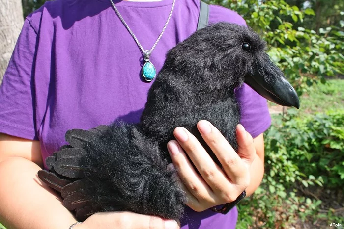 And I brought you a black crow! - My, Needlework without process, Crow, Author's toy, Soft toy, Handmade, Toys, Interior toy, Teddy's friends, , Nature, Needlework, Birds, Video, Longpost