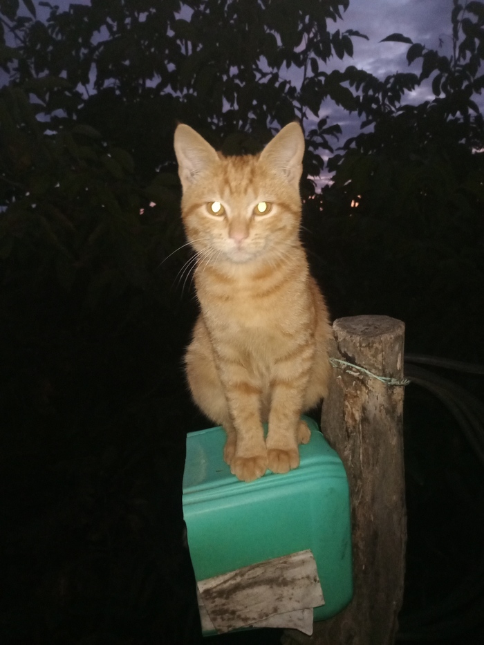 Солнышко на закате