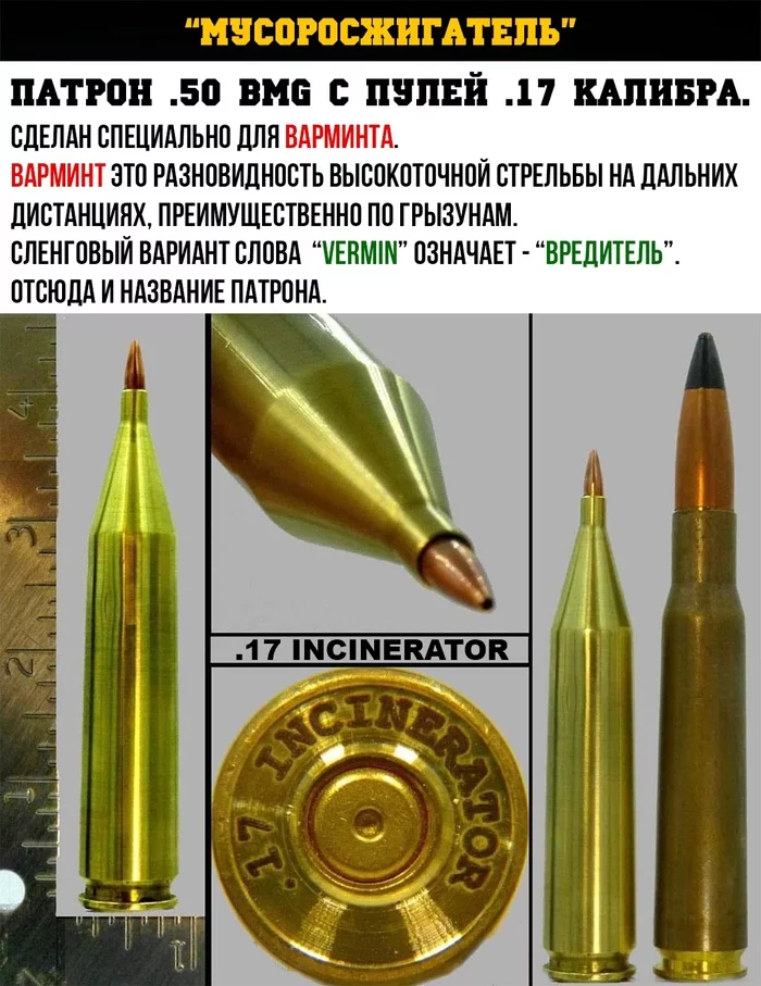 Белке в глаз - Картинка с текстом, 50 cal, Пуля, Калибр, 1 апреля