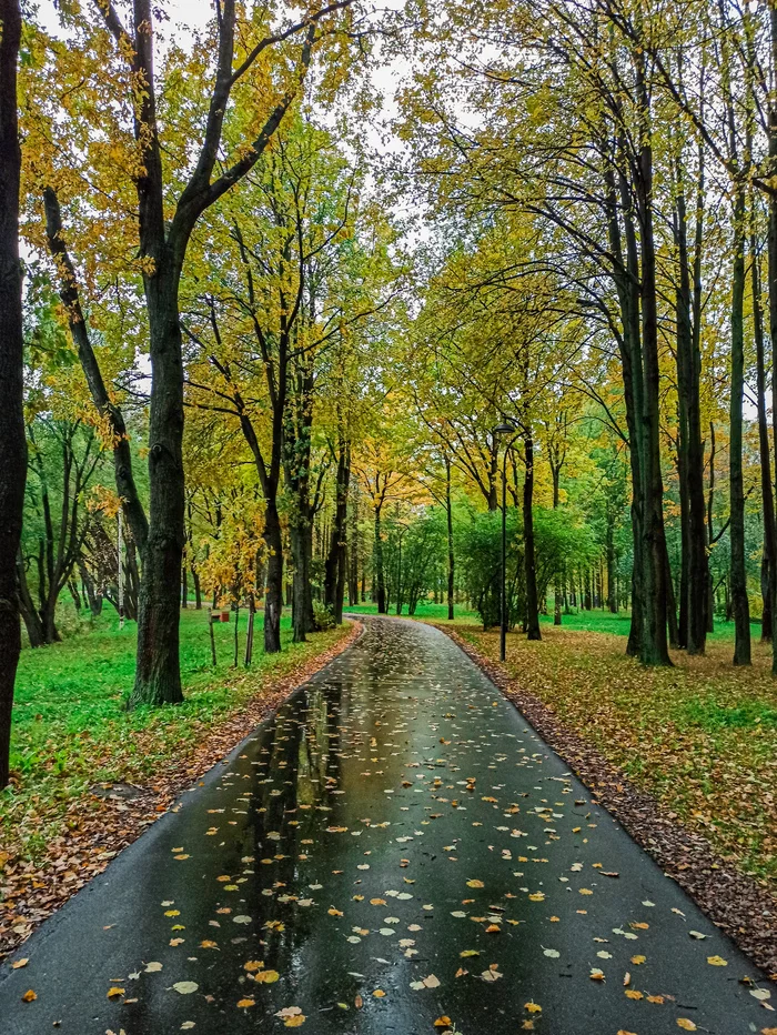 Walkway in the park - My, The photo, Autumn, The park