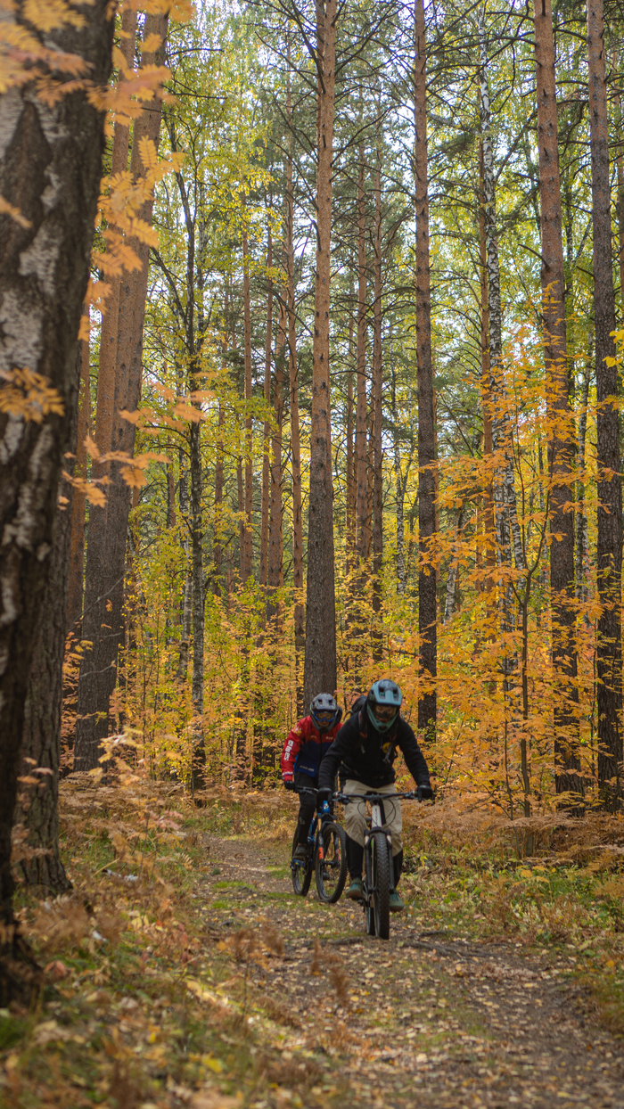 Осенняя покатушка в лесу на велосипедах Фотография, Хочу критики, Велосипед, Велопрогулка, Велосипедист, Лес, Осень, Осенние листья, Длиннопост