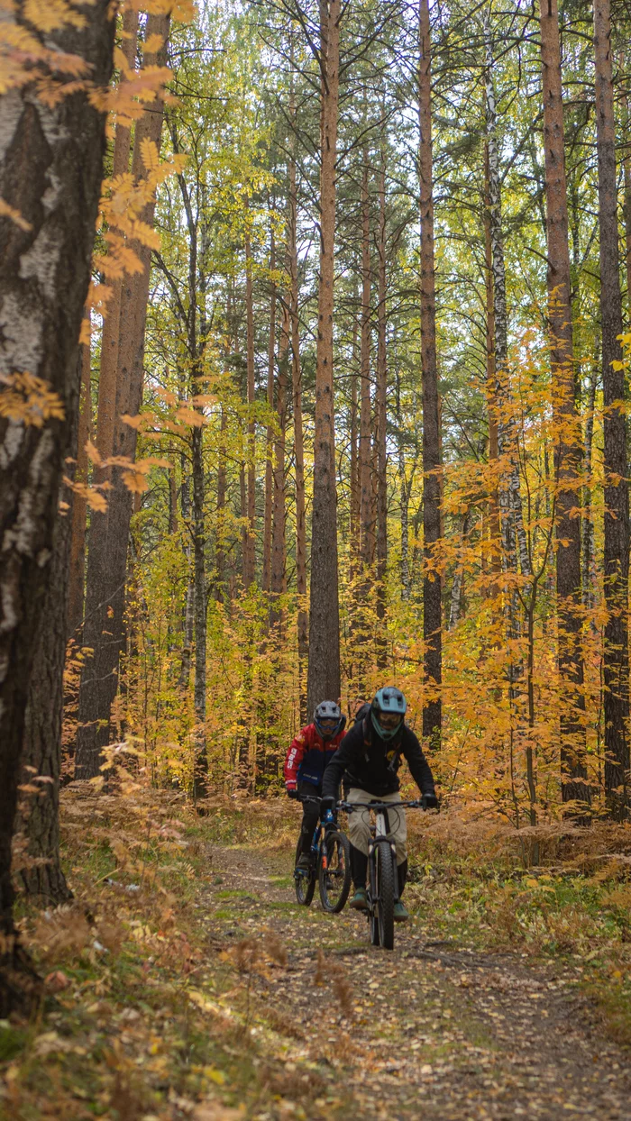 Autumn bike ride in the forest - My, The photo, I want criticism, A bike, Bike ride, Cyclist, Forest, Autumn, Autumn leaves, Longpost