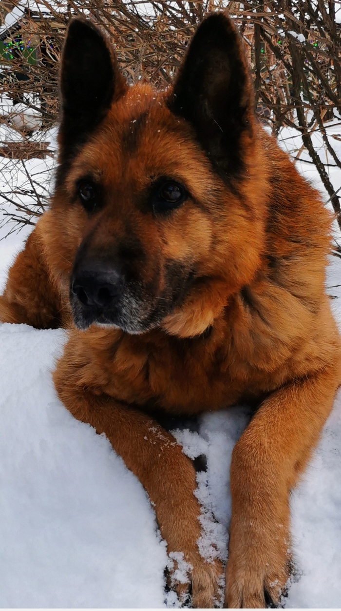 На радугу...