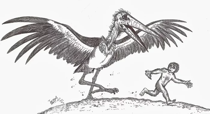 Leptoptilos: Giant birds that preyed on dwarf people. An ancient species of marabou from Indonesia - Animals, Birds, Prehistoric animals, Paleontology, Animal book, Yandex Zen, Longpost