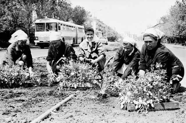 Архив №349. Посадка цветов на ул. Мира. Филателистическая выставка. ГАИ - Занятия со школьниками в школе №9, Целиноград, Казахстан - Моё, Казахстан, Целиноград, История СССР, Длиннопост