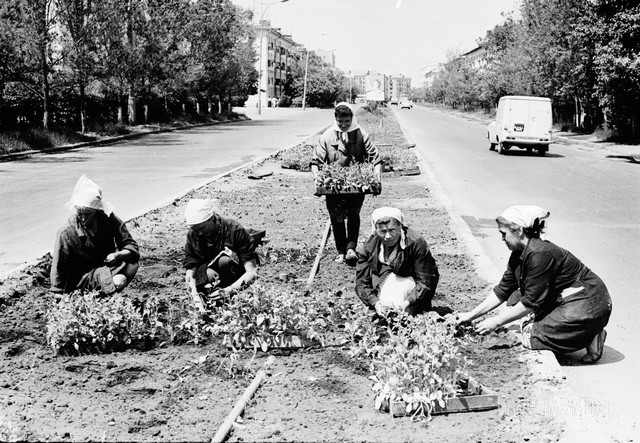 Архив №349. Посадка цветов на ул. Мира. Филателистическая выставка. ГАИ - Занятия со школьниками в школе №9, Целиноград, Казахстан - Моё, Казахстан, Целиноград, История СССР, Длиннопост