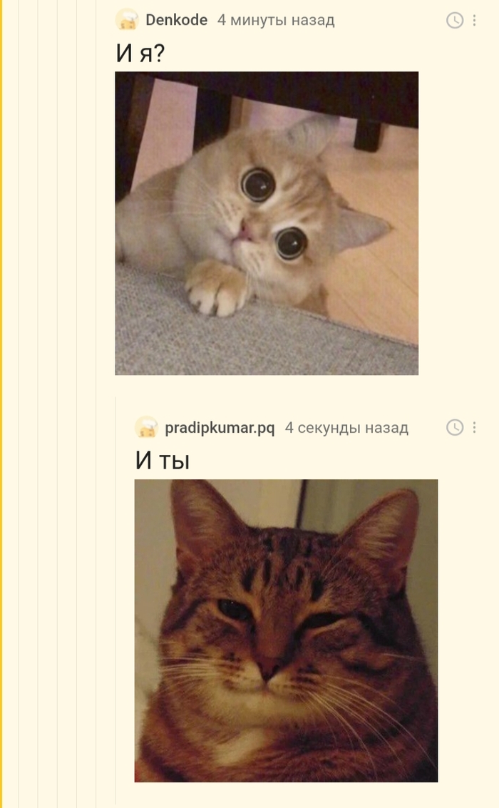 код ошибки 3е500 бургер кинг. 163256273513649701. код ошибки 3е500 бургер кинг фото. код ошибки 3е500 бургер кинг-163256273513649701. картинка код ошибки 3е500 бургер кинг. картинка 163256273513649701. При регистрации в приложении Бургер Кинг введите промокод R4A5XK, чтобы получить 400 бонусных баллов кэшбека после первого заказа на сумму от 699 рублей. После окончания регистрации вы увидите, что стали участников бонусной программы King Club, запущенной в 2021 году и теперь за покупки в ресторанах по всей России вам тоже будут начислять баллы, которые называются коронами.