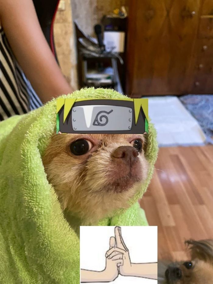 Теневое копирование