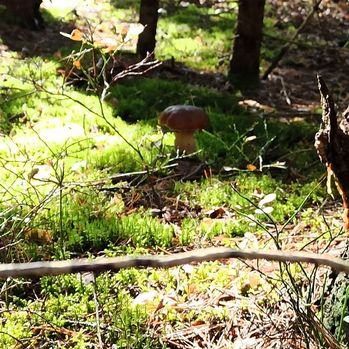 ������ �������� �����!