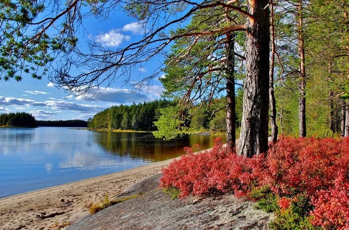 Group of lakes Kuito, Karelia - Nature, Карелия, Lake, The photo