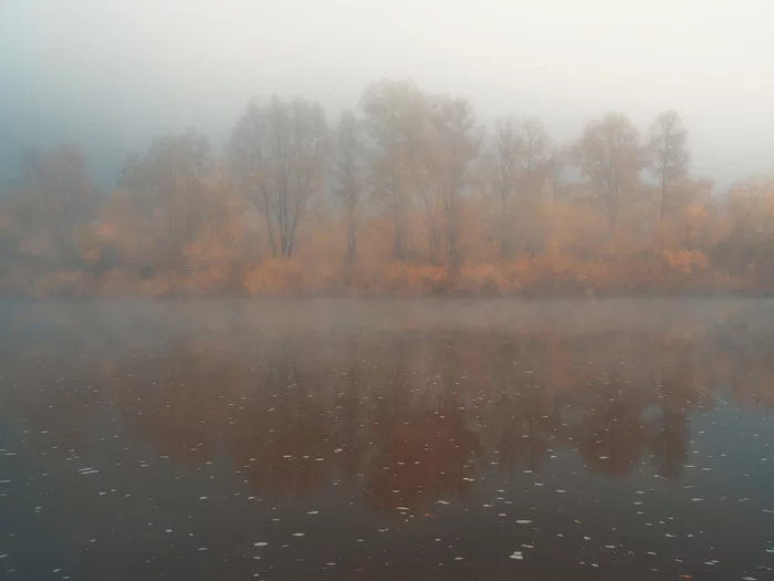 In the fog - My, Olympus, Sigma, The photo, Landscape, Autumn, Fog, Novosibirsk