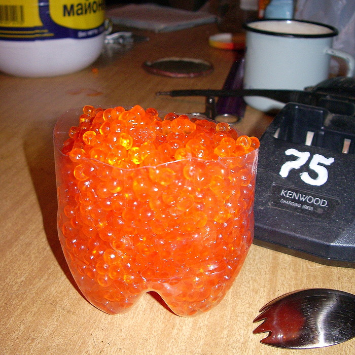 ����������� ���� � 2008 ����