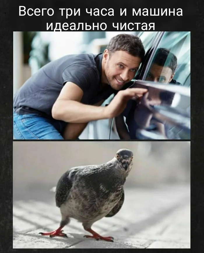 ����� ��������