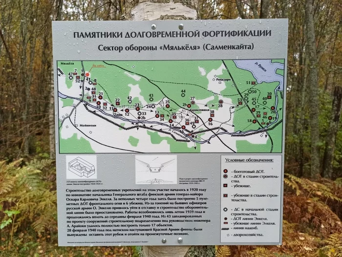 Malkel fortified area of ??the Mannerheim line - My, Karelian Isthmus, Mannerheim Line, Dog, Pillbox, Longpost