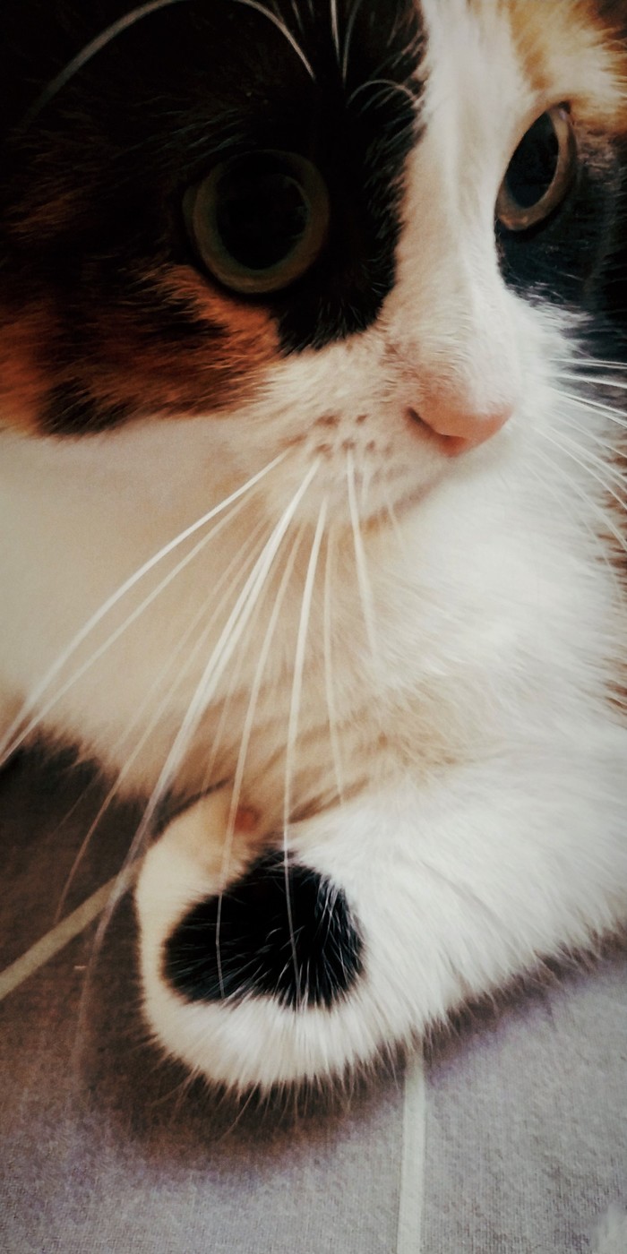 ������ � ��������� �� ���������� ����