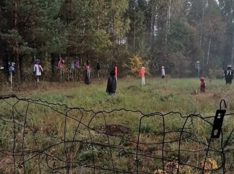 Mushroom pickers stumbled upon a field with creepy human-sized dolls. Explanation... - Puppets, Field, Arzamas, Security, Kripota, Video, Longpost