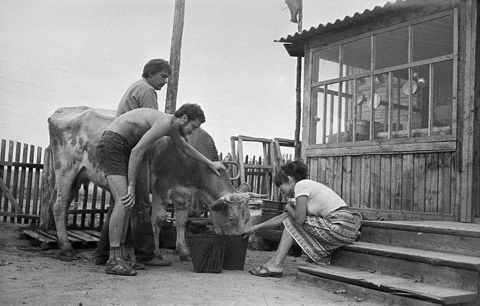 Старые фотографии № 127 История, СССР, Фотография, Подборка, Ретро, Длиннопост, Черно-белое фото, Историческое фото