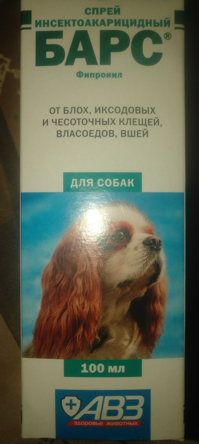 Чесотка: истории из жизни, советы, новости, юмор и картинки — Все посты,  страница 3 | Пикабу