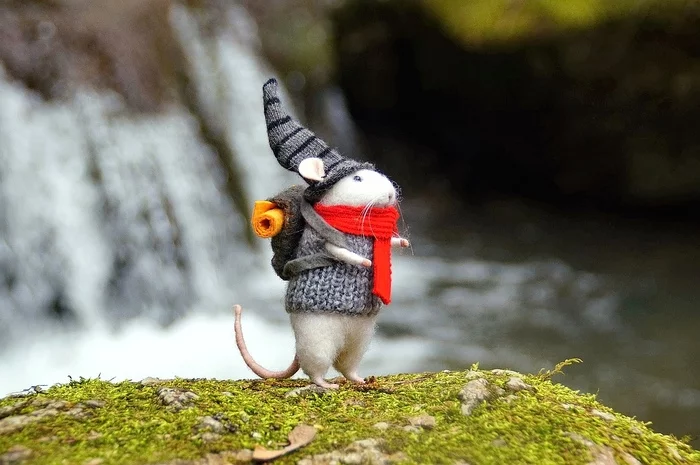 Backpack on your shoulders and go! - My, Tourism Day, Tourism, Waterfall, Backpack, Mouse, Dry felting, Forest fairy tale