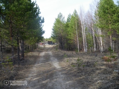 Taiga route. Ulu-Yul hike. Part Three - My, Taiga, Siberia, Western Siberia, Travels, Longpost, Mat