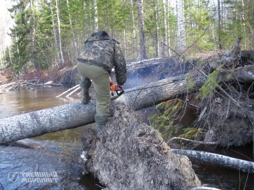 Taiga route. Ulu-Yul hike. Part Three - My, Taiga, Siberia, Western Siberia, Travels, Longpost, Mat