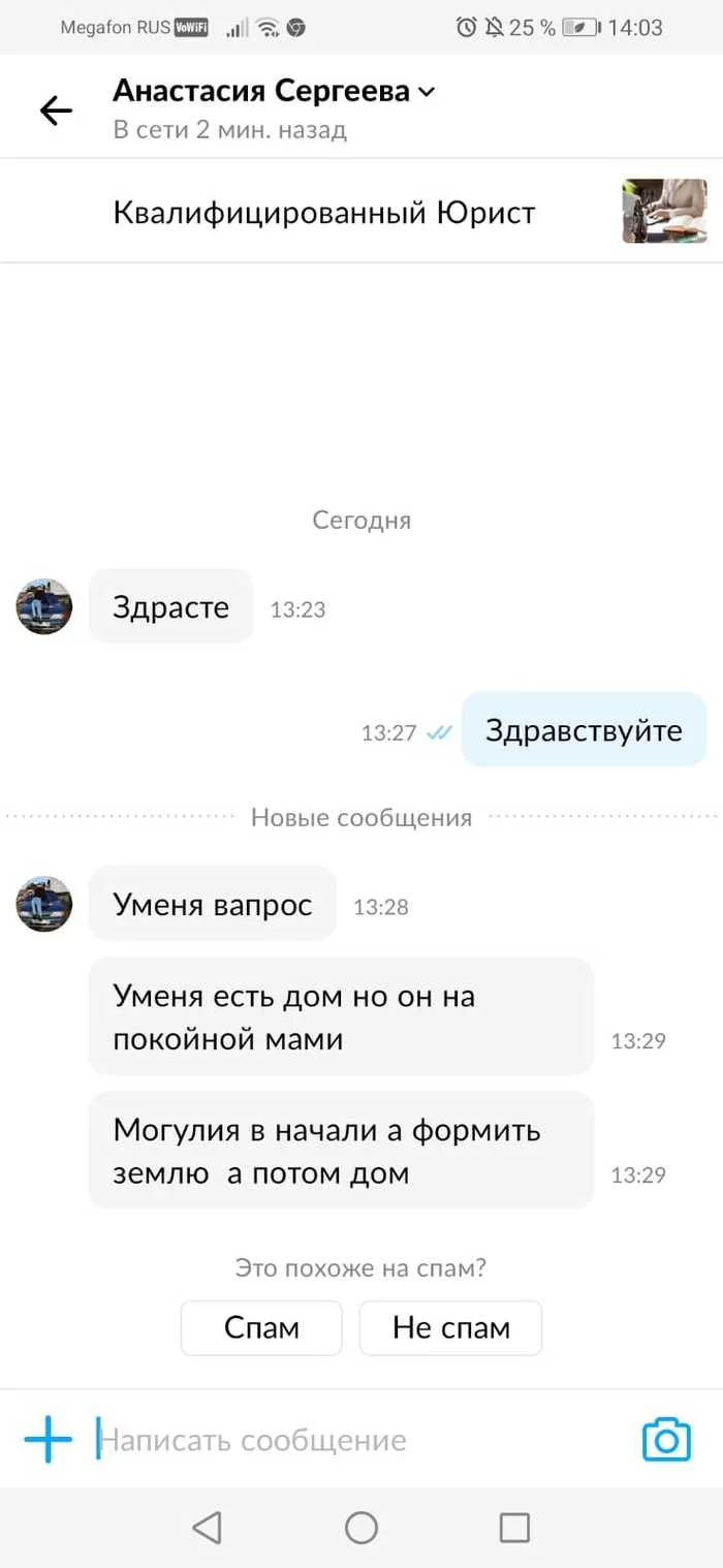 Everyday life of a lawyer - My, Lawyers, Грамматика, Error, Russian language, Correspondence, Longpost