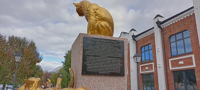 Monument to the Siberian cat, Tyumen - My, Siberian cat, Tyumen, Longpost, cat