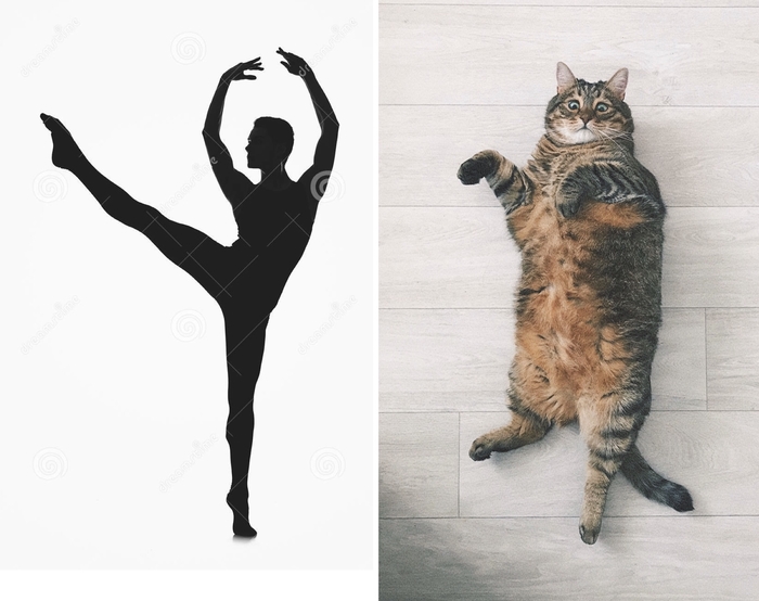 -  ?        -..                                     -: