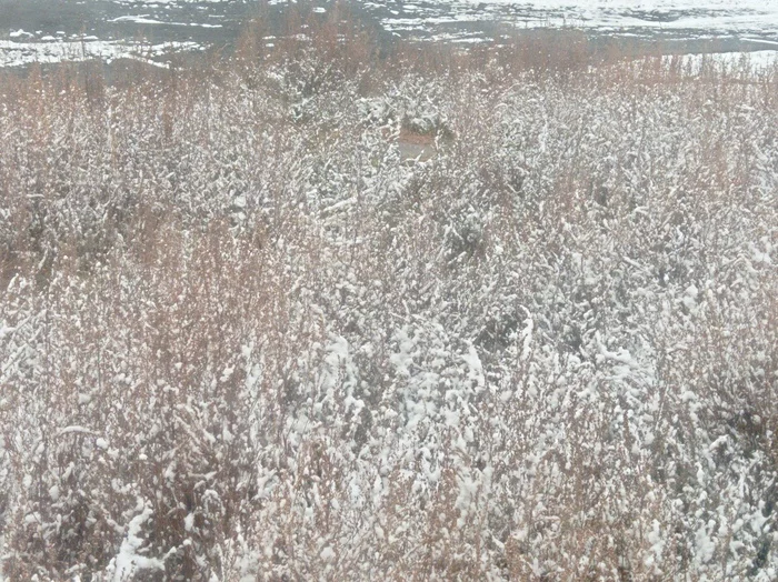 Morning. Magadan Region - My, Autumn, The photo