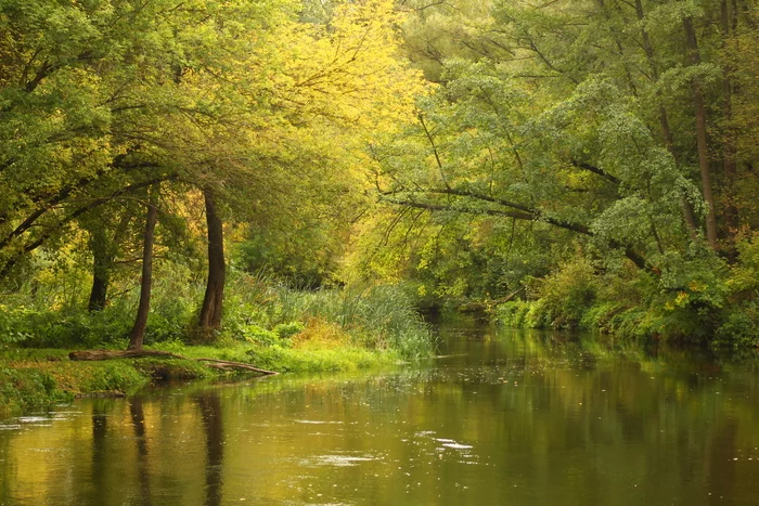 River. Autumn - My, Nature, The park, Autumn, River, Belgorod region, The photo