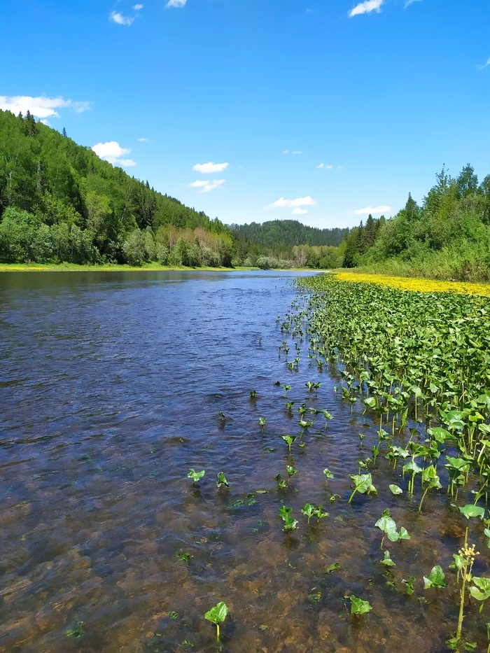 Boats and Motors for small rivers - My, Fishing, No rating, A boat