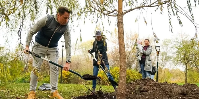 Since the beginning of autumn, the participants of the Our Tree project have planted more than four thousand named trees - Moscow, Stock, Participation, Project, Tree, Presents