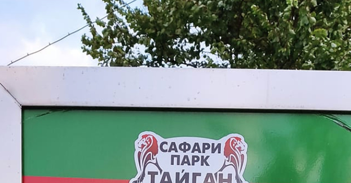 Тайган | Пикабу