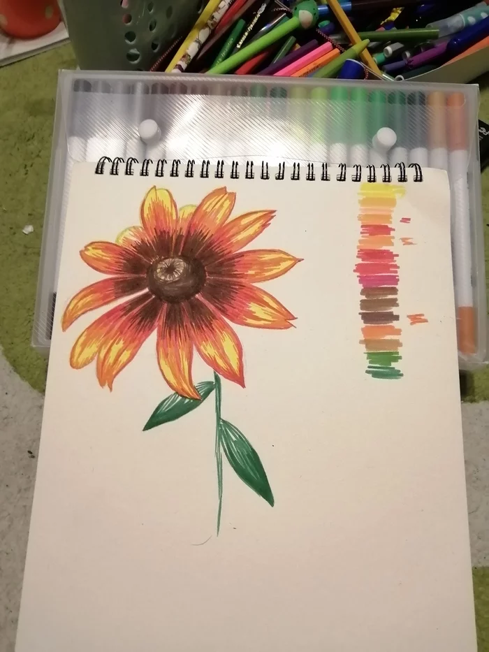 Markers - My, Rudbeckia, Carnation, Bouquet, Felt-tip pen, Painting, Longpost