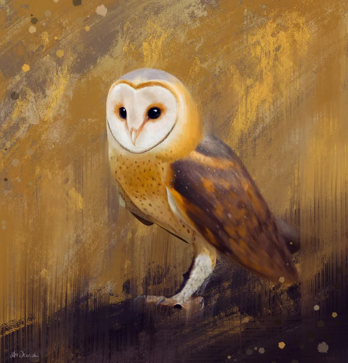 Owl - My, Owl, Artist, Procreate, Animalistics, Digital drawing, Video