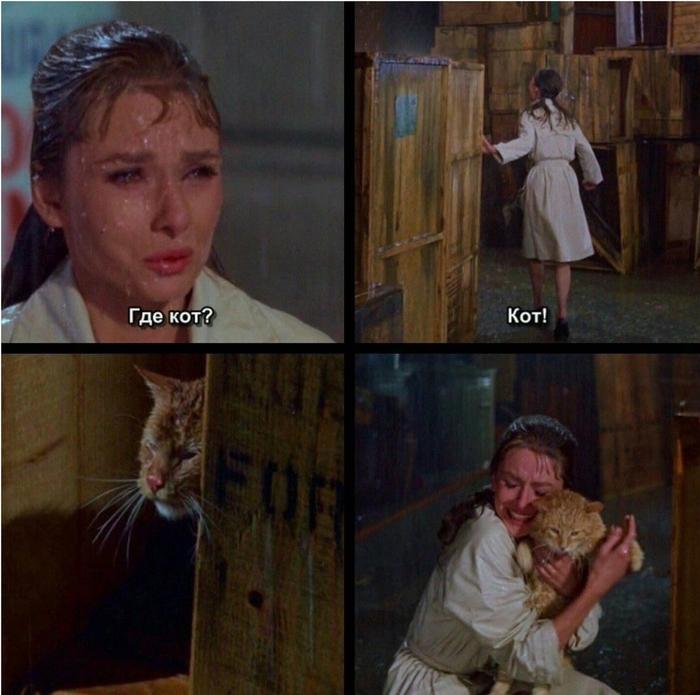 ����� �� ���� �������� � �������