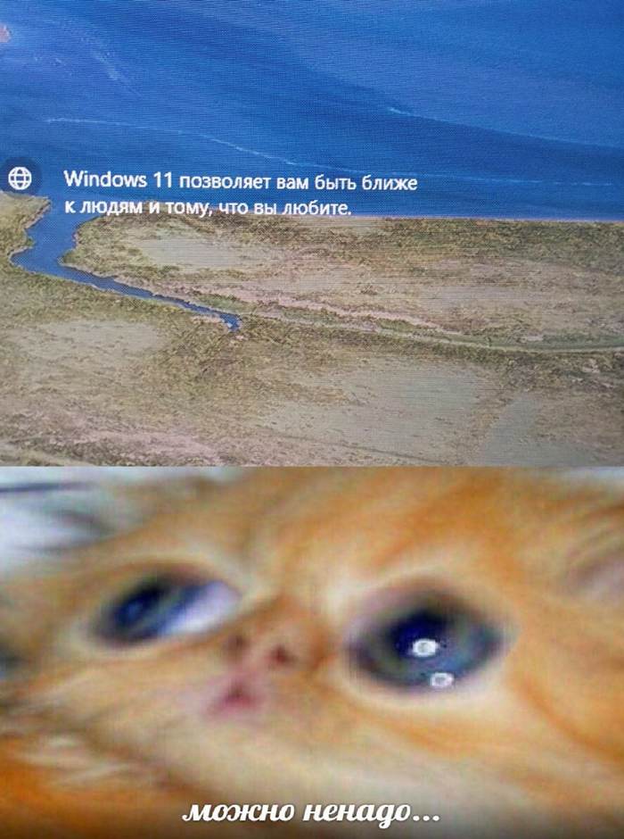         Windows 11 Windows, , 