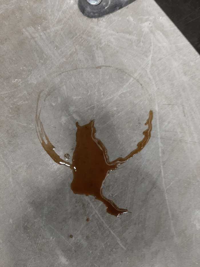 Spilled coffee at work - My, Cats, Work days, cat, Drawing on coffee, Longpost