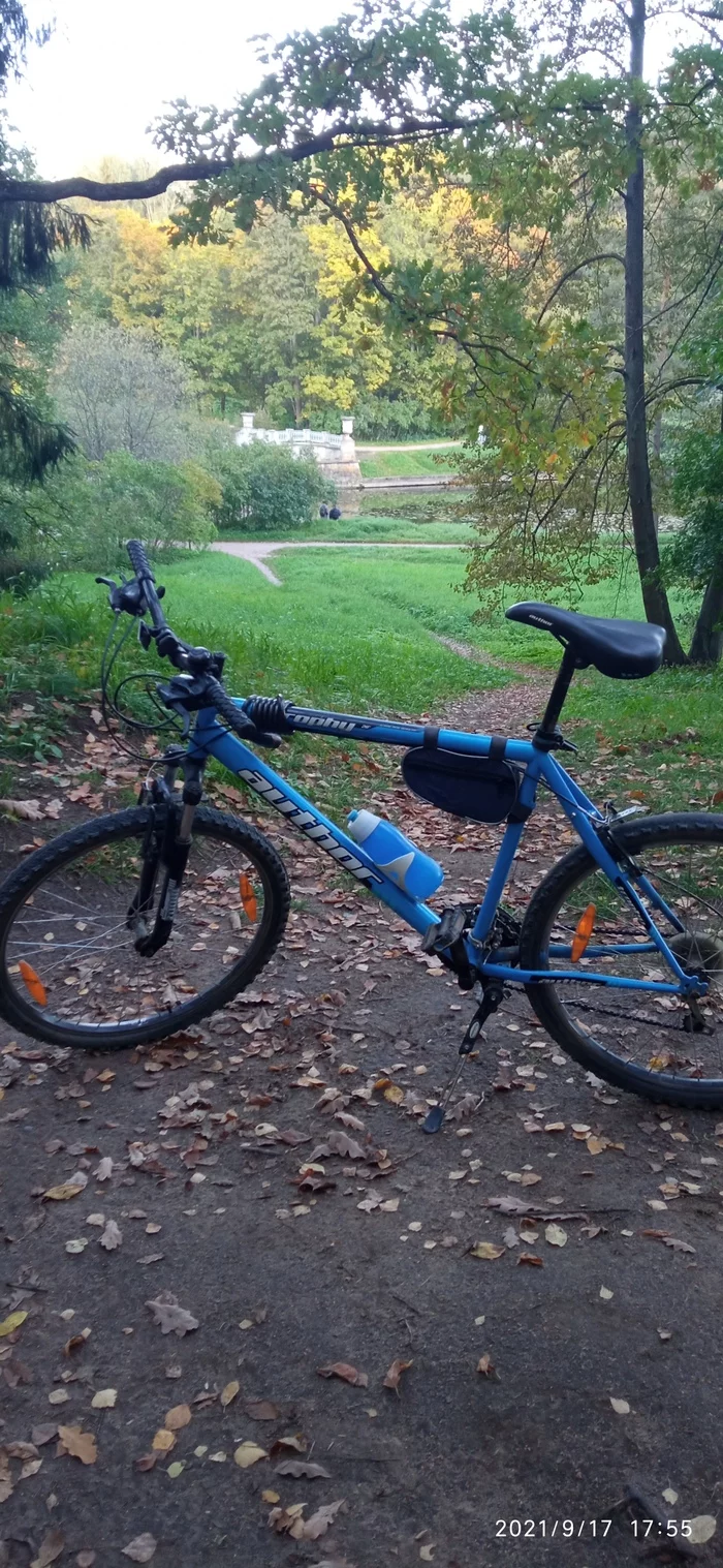 Autumn, park, bike - My, Bike ride, Autumn, Longpost