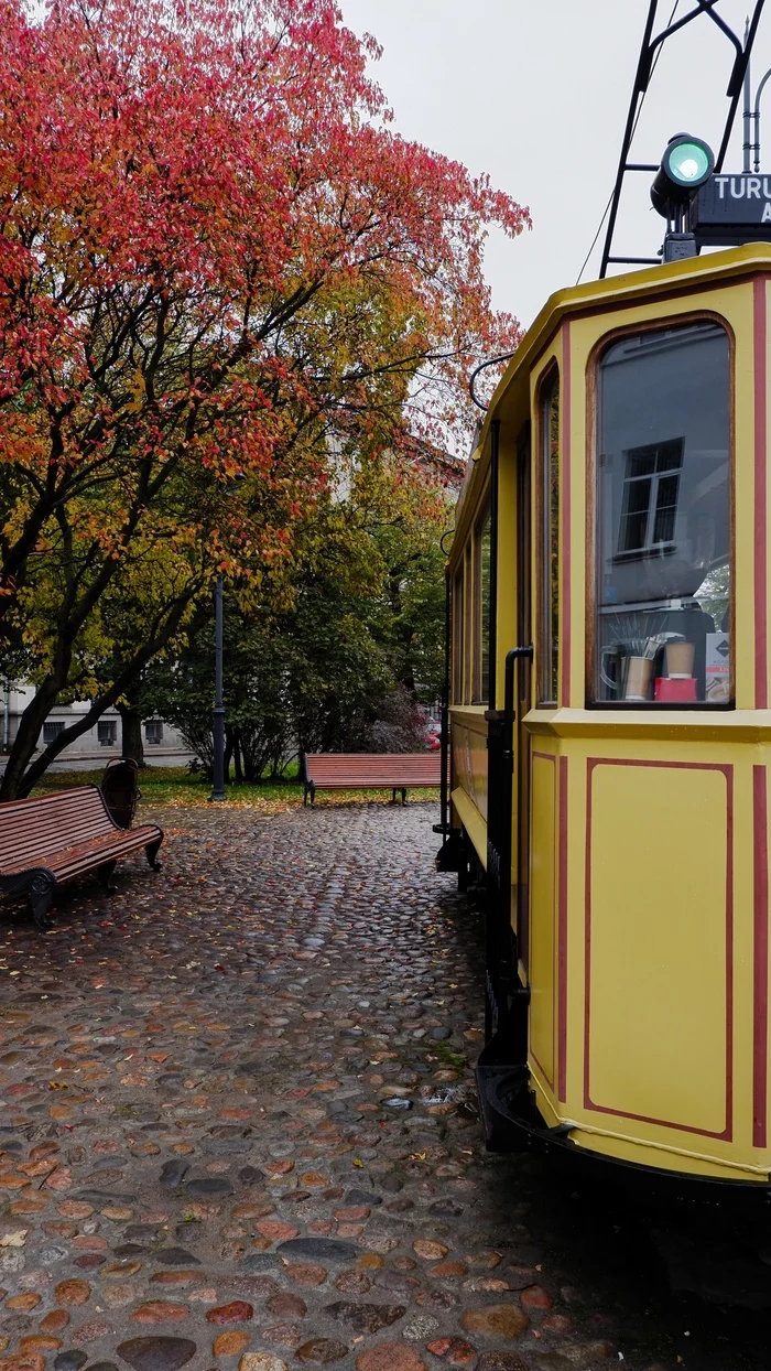 Autumn in Vyborg - My, The photo, Autumn, Tram, Vyborg