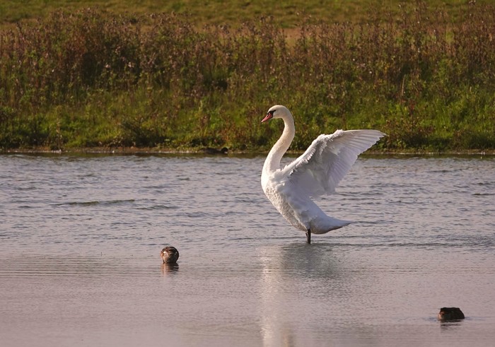 Природные уголки Голландии