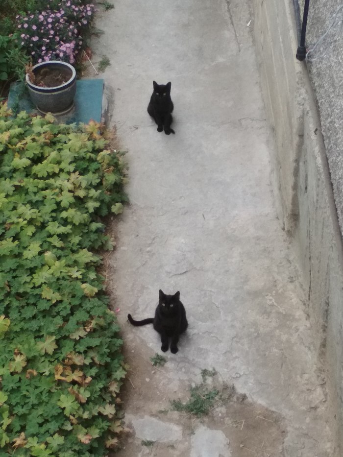 ����� 10 �������